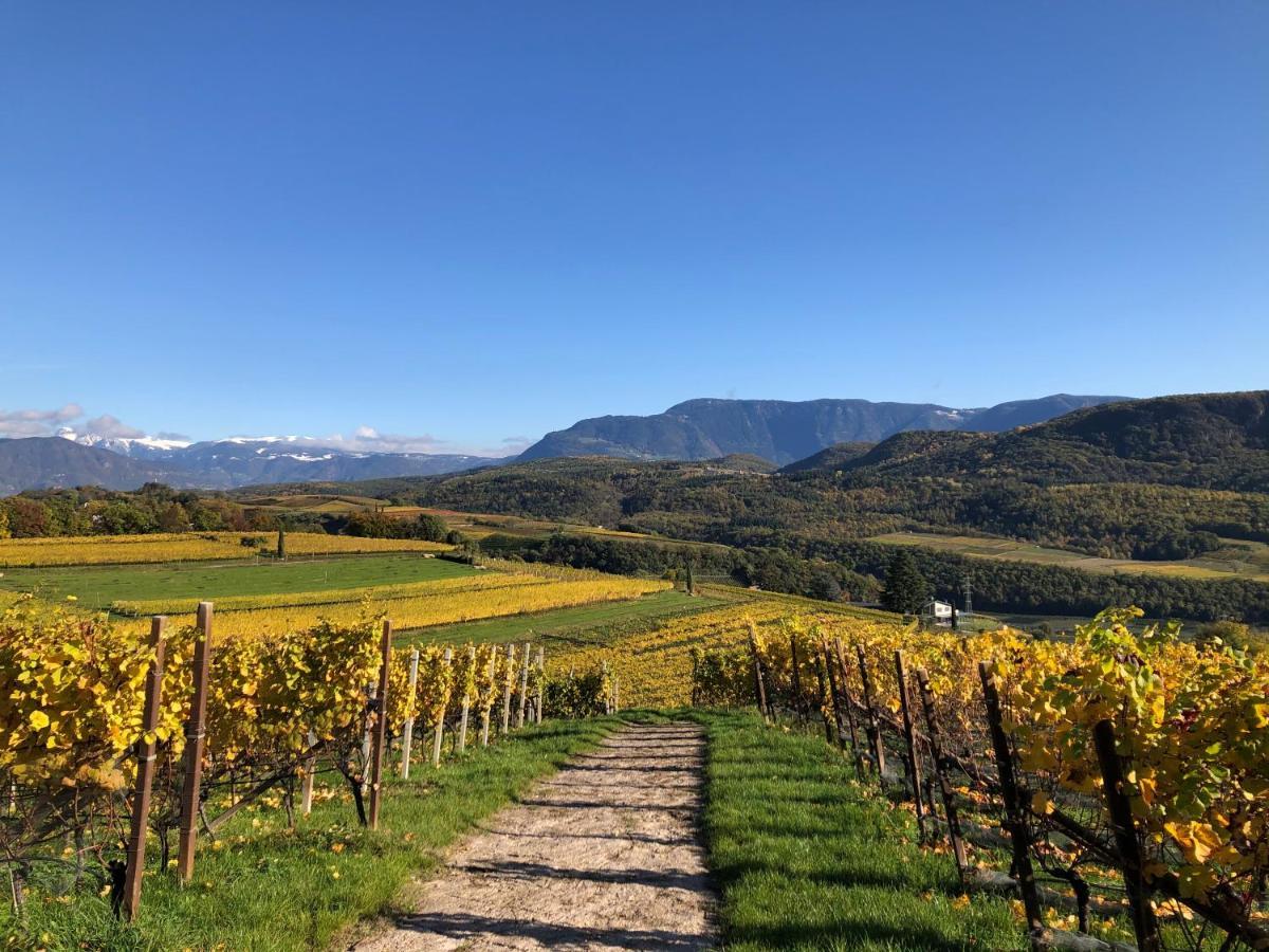 Das Matscher Residence & Garden Hotel Appiano Sulla Strada Del Vino Luaran gambar