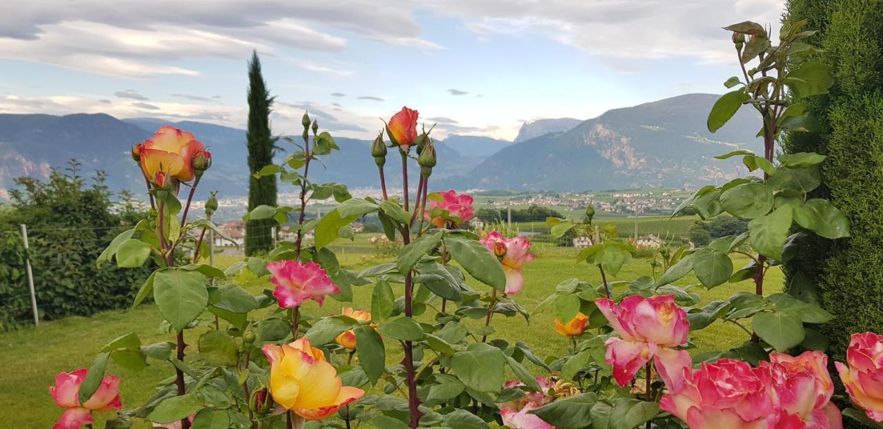 Das Matscher Residence & Garden Hotel Appiano Sulla Strada Del Vino Luaran gambar