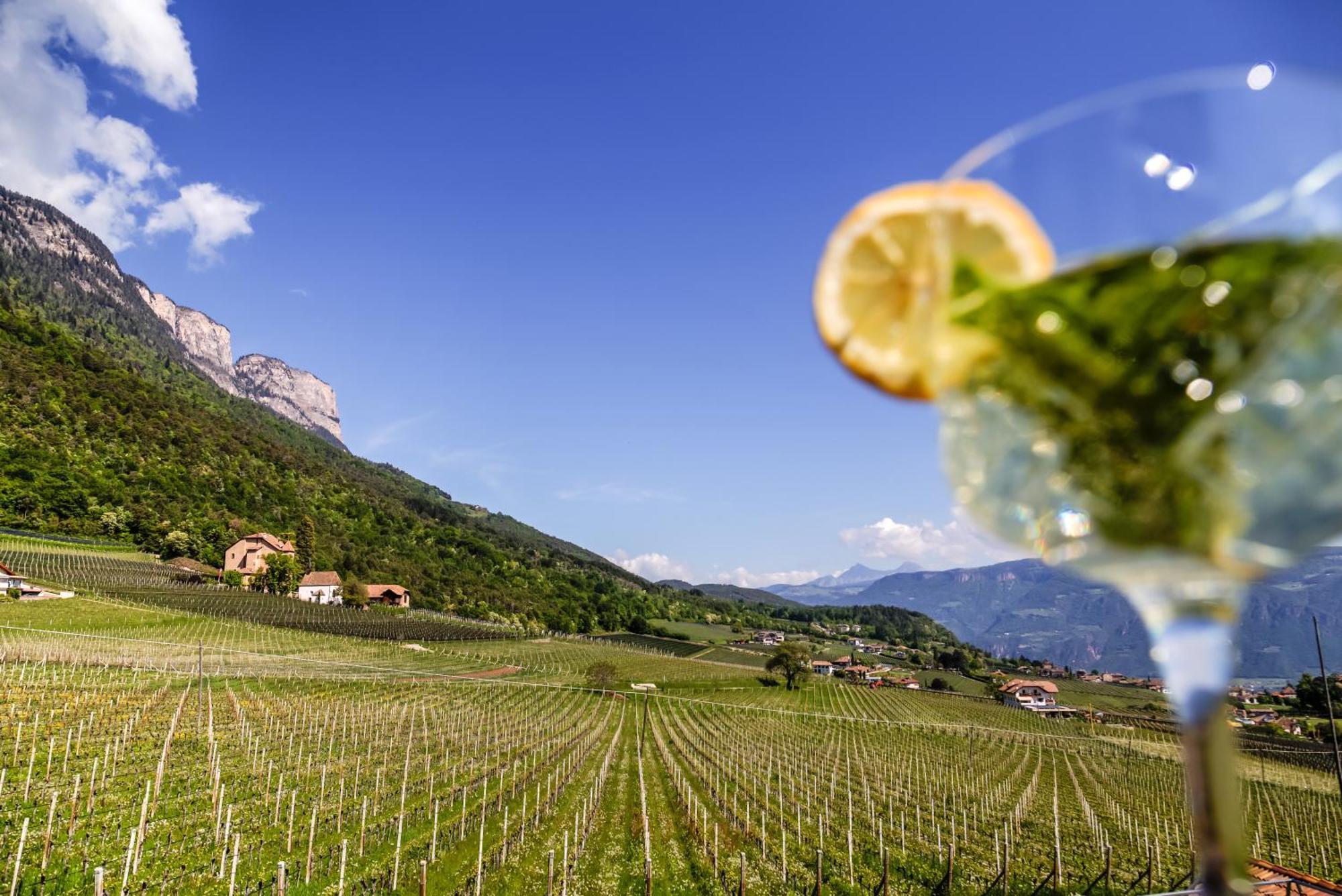 Das Matscher Residence & Garden Hotel Appiano Sulla Strada Del Vino Luaran gambar