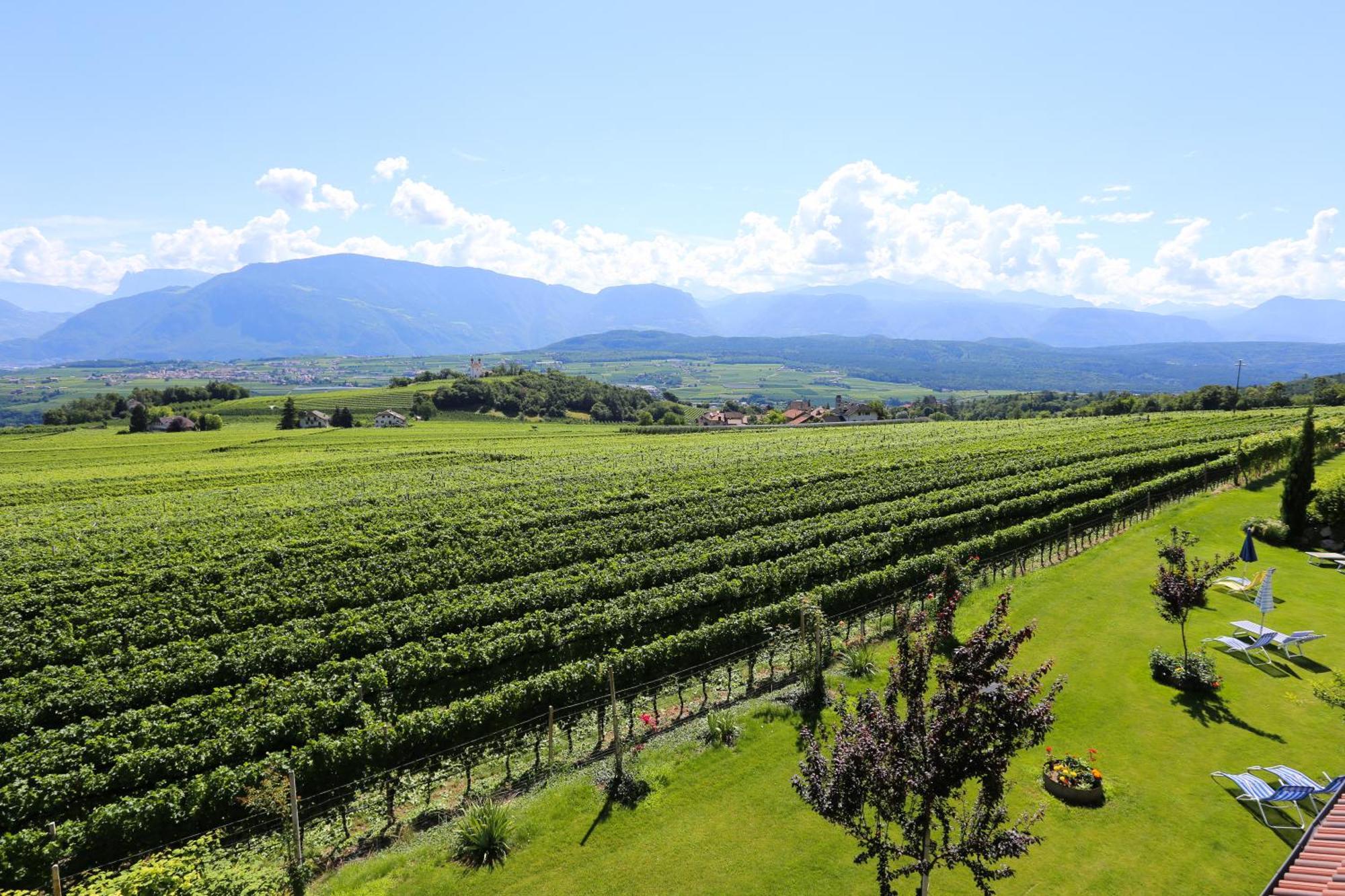 Das Matscher Residence & Garden Hotel Appiano Sulla Strada Del Vino Luaran gambar