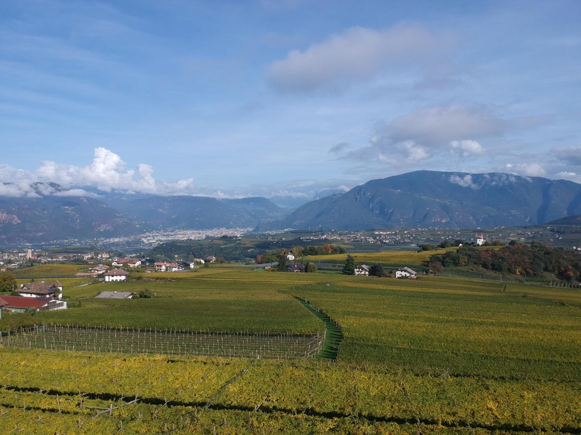 Das Matscher Residence & Garden Hotel Appiano Sulla Strada Del Vino Luaran gambar